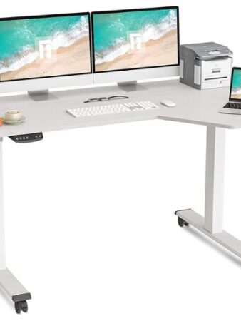 Fezibo Electric Standing Desk