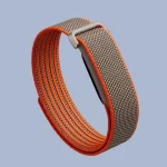 Google Fitbit Air launches screenless fitness tracker